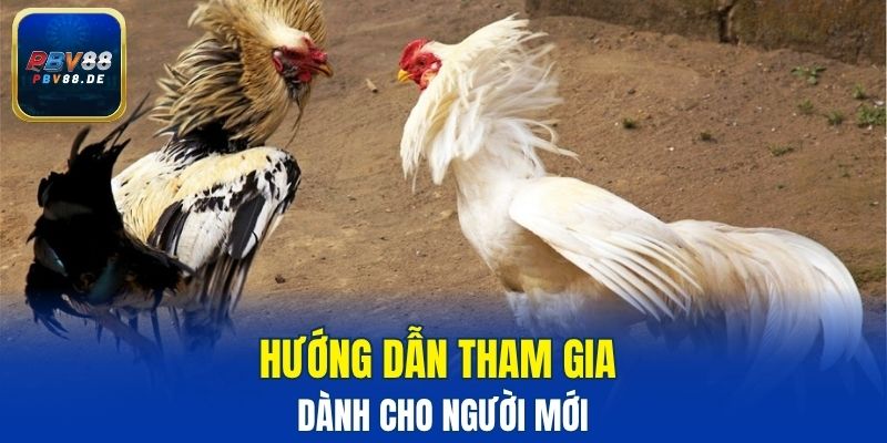 Hướng dẫn tham gia dành cho người mới