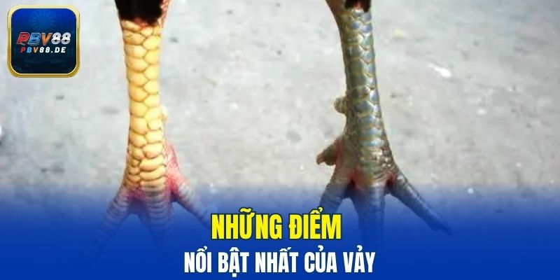 Những điểm nổi bật nhất của vảy