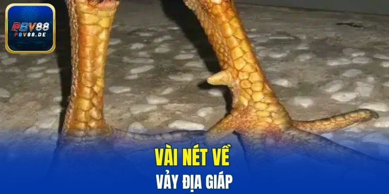 Vài nét về vảy địa giáp