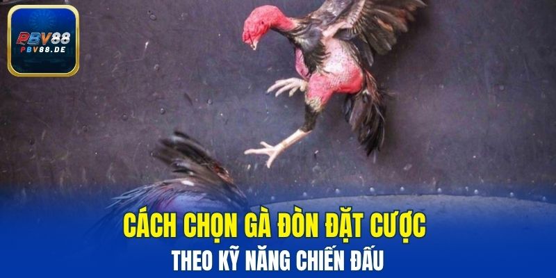 Cách chọn gà đòn đặt cược theo kỹ năng chiến đấu