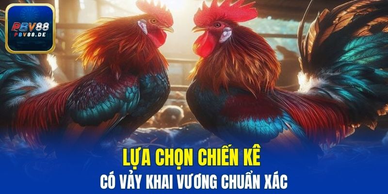Lựa chọn chiến kê có vảy khai vương chuẩn xác