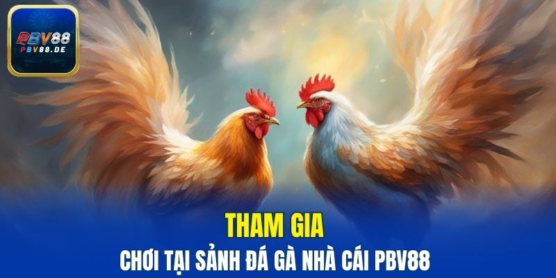 Cách thức tham gia chơi tại sảnh đá gà nhà cái PBV88