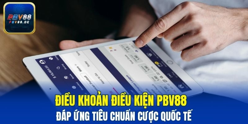 Điều khoản điều kiện PBV88 đáp ứng tiêu chuẩn cược quốc tế 