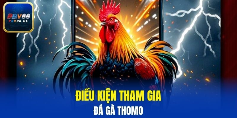 Điều kiện tham gia đá gà Thomo