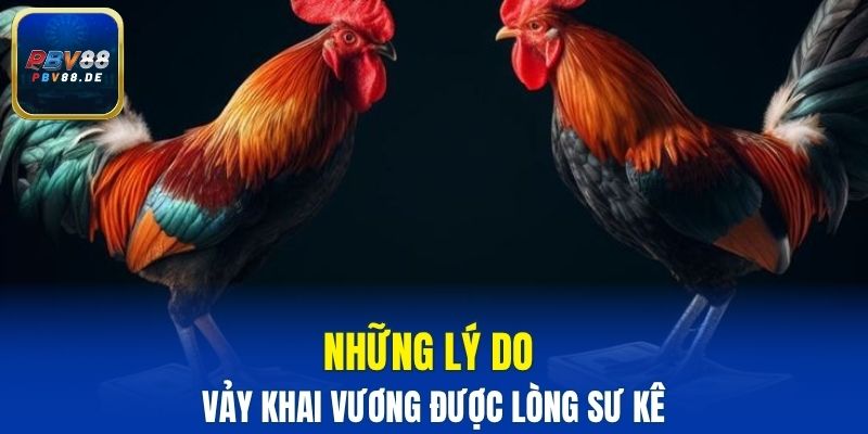 Những lý do vảy khai vương được lòng sư kê