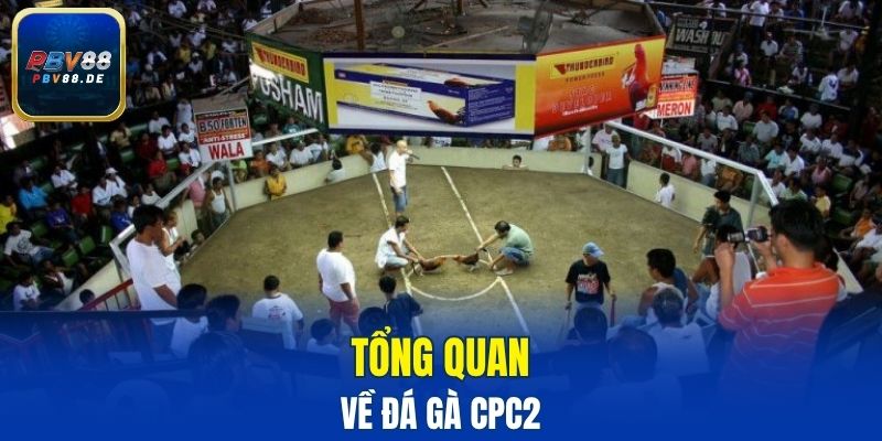 Tổng quan về đá gà CPC2