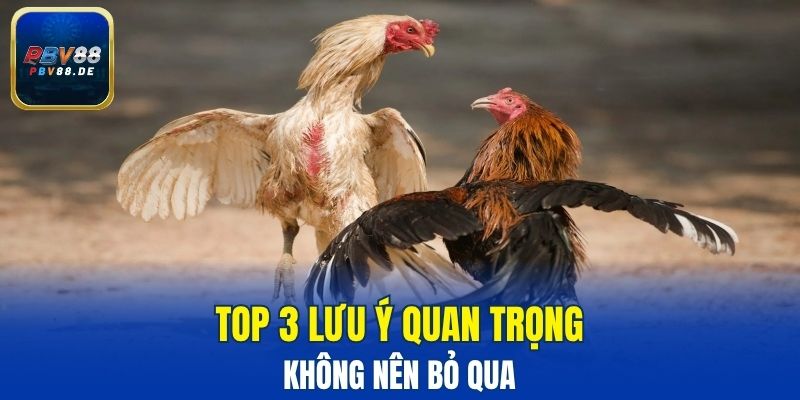 Top 3 lưu ý quan trọng không nên bỏ qua