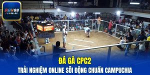 đá gà CPC2