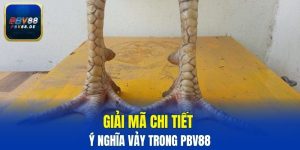 vảy liên châu
