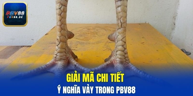 vảy liên châu